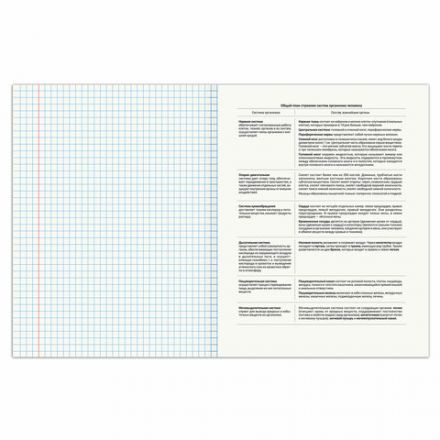 Тетрадь предметная "SPORT CLUB" 48 л., обложка картон, БИОЛОГИЯ, клетка, подсказ, BRAUBERG, 404797 Тетрадь предметная "SPORT CLUB" 48 л., обложка картон, БИОЛОГИЯ, клетка, подсказ, BRAUBERG, 404797