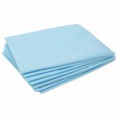 Простыня голубая нестерильная 70х80 см, КОМПЛЕКТ 100 шт., СМС 14 г/м2, ЧИСТОВЬЕ, 01-462 Простыня голубая нестерильная 70х80 см, КОМПЛЕКТ 100 шт., СМС 14 г/м2, ЧИСТОВЬЕ, 01-462