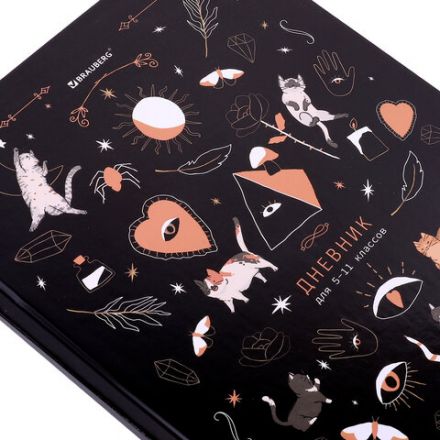 Дневник 5-11 класс 48 л., твердый, BRAUBERG, глянцевая ламинация, с подсказом, "Astro cats", 106868