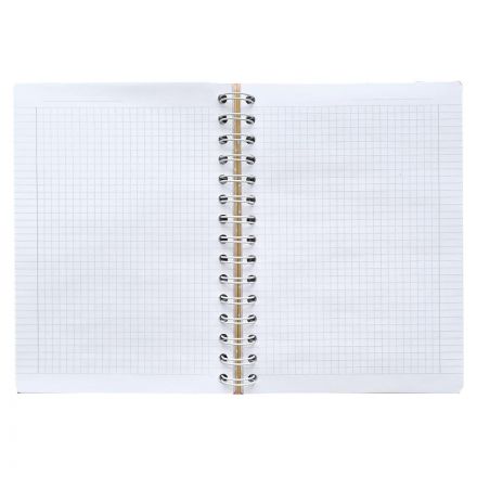 Бизнес-тетрадь А5,120л,клетка, спираль,тв.обл,Be Smart,Soul,N3686