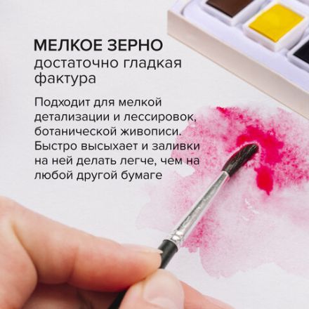 Бумага для акварели 300 г, 270x390 мм, мелкое зерно, 10 листов, BRAUBERG ART PREMIERE, 115334 Бумага для акварели 300 г, 270x390 мм, мелкое зерно, 10 листов, BRAUBERG ART PREMIERE, 115334