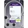 Жесткий диск WD Purple SATA 6Tb 5400 RPM 256Mb(WD63PURU) Жесткий диск WD Purple SATA 6Tb 5400 RPM 256Mb(WD63PURU)