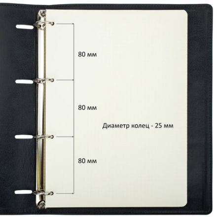 Тетрадь на кольцах БОЛЬШАЯ А4 (240х310 мм), 120 листов, под кожу, клетка, BRAUBERG "Main", черный, 404509