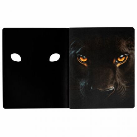 Тетрадь А5 48 л., ПЗБМ, скоба, клетка, матовая ламинация, брайль 3D, вырубка, "Кто это" (5 видов), 25045