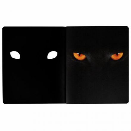 Тетрадь А5 48 л., ПЗБМ, скоба, клетка, матовая ламинация, брайль 3D, вырубка, "Кто это" (5 видов), 25045