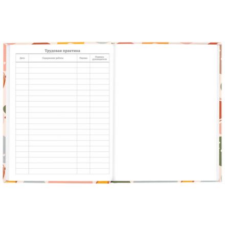 Дневник 5-11 класс 48 л., твердый, BRAUBERG, глянцевая ламинация, с подсказом, "Decor", 106403