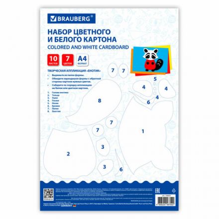Набор картона БЕЛЫЙ + ЦВЕТНОЙ А4 немелованный, 10 листов (белый 4 листа + цветной 6 листов), в папке, BRAUBERG, 116631