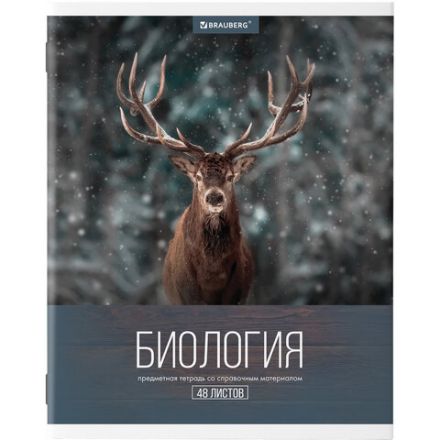 Тетради предметные, КОМПЛЕКТ 10 ПРЕДМЕТОВ, 48 л., обложка картон, BRAUBERG, "КЛАССИКА XXI", 404025