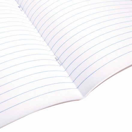 Тетради предметные, КОМПЛЕКТ 10 ПРЕДМЕТОВ, 48 л., обложка картон, BRAUBERG, "КЛАССИКА XXI", 404025