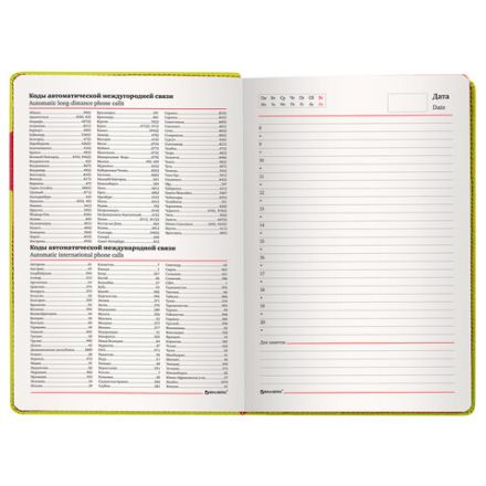 Ежедневник недатированный А5 (138х213 мм), BRAUBERG "AIM", под кожу 136 л., светло-зеленый, 113417