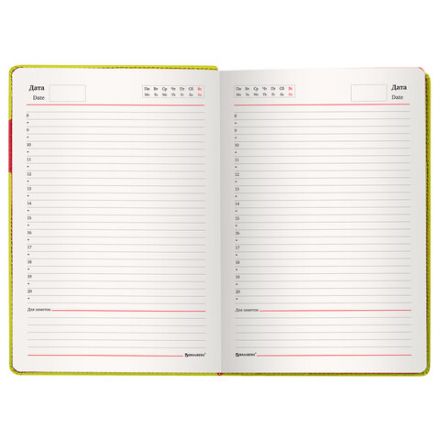 Ежедневник недатированный А5 (138х213 мм), BRAUBERG "AIM", под кожу 136 л., светло-зеленый, 113417