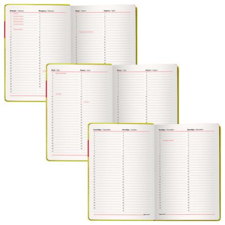 Ежедневник недатированный А5 (138х213 мм), BRAUBERG "AIM", под кожу 136 л., светло-зеленый, 113417