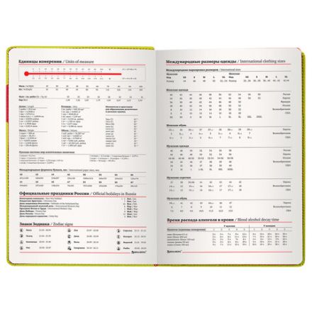 Ежедневник недатированный А5 (138х213 мм), BRAUBERG "AIM", под кожу 136 л., светло-зеленый, 113417