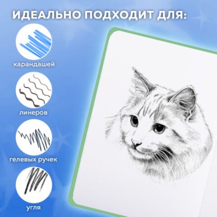 Скетчбук, белая бумага 80 г/м2, 145х203 мм, 80 л., резинка, твердый, FUNSTER (ФАНСТЕР), Гусь "Че смотришь?", 116891