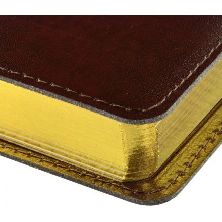 Ежедневник полудатированный коричн,A5,152х222мм,416 стр,Br.V.PROFY 3-073/03 Ежедневник полудатированный коричн,A5,152х222мм,416 стр,Br.V.PROFY 3-073/03