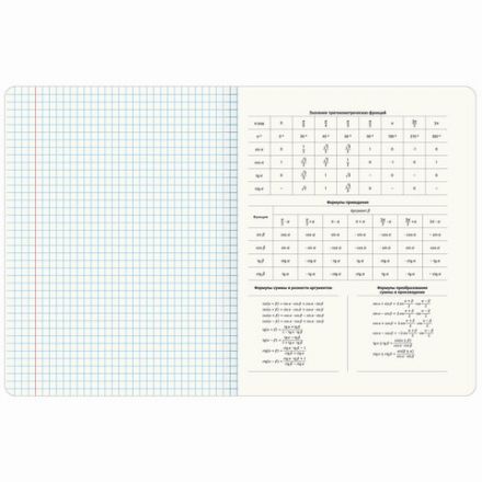 Тетради предметные, КОМПЛЕКТ 12 ПРЕДМЕТОВ, 48 л., обложка картон, BRAUBERG "CREATIVE", 405166