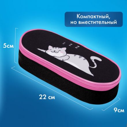 Пенал-футляр BRAUBERG, 1 отделение, органайзер, полиэстер, 22x9х5 см, "Don't wake up", 272311