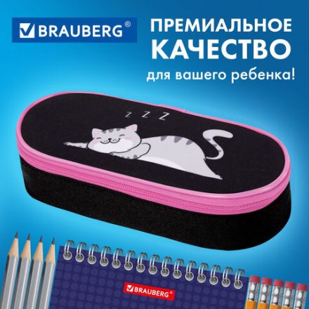 Пенал-футляр BRAUBERG, 1 отделение, органайзер, полиэстер, 22x9х5 см, "Don't wake up", 272311