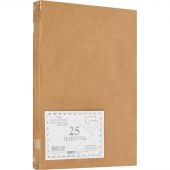 Пакет Extrapack B4 из крафт-бумаги 120 г/кв.м стрип (25 штук в упаковке)