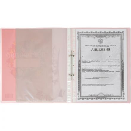 Папка №1 School Портфолио ученика на двух кольцах с 20 файлами розовая