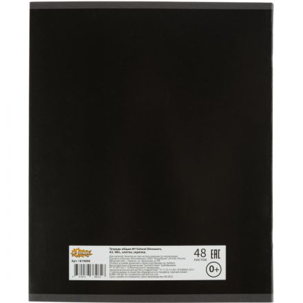 Тетрадь общая А5 48л №1School Dinosaurs,клет,скреп, ВД-лак