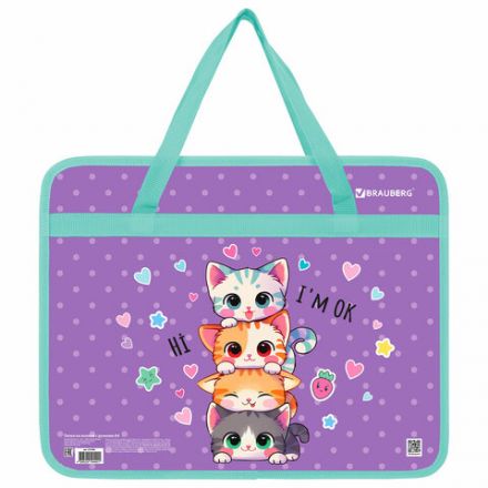 Папка на молнии с ручками BRAUBERG А4, 1 отделение, пластик, 80 мм, "Funny kittens", 273368 Папка на молнии с ручками BRAUBERG А4, 1 отделение, пластик, 80 мм, "Funny kittens", 273368