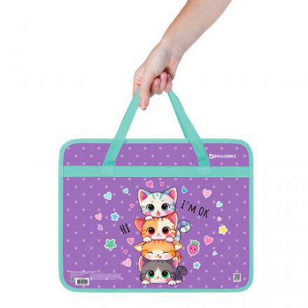 Папка на молнии с ручками BRAUBERG А4, 1 отделение, пластик, 80 мм, "Funny kittens", 273368 Папка на молнии с ручками BRAUBERG А4, 1 отделение, пластик, 80 мм, "Funny kittens", 273368