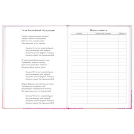 Дневник 5-11 класс 48 л., твердый, BRAUBERG, глянцевая ламинация, с подсказом, "Летний", 106631