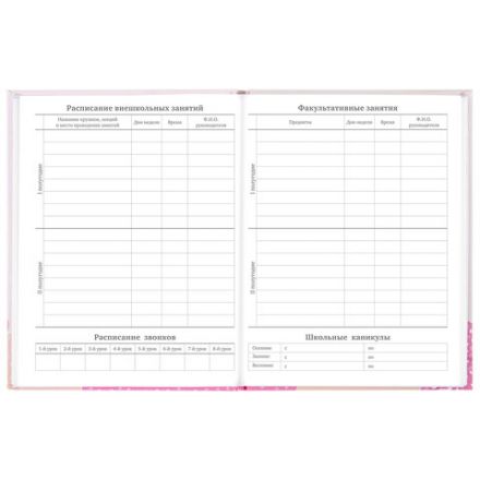 Дневник 5-11 класс 48 л., твердый, BRAUBERG, глянцевая ламинация, с подсказом, "Летний", 106631