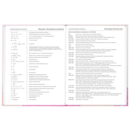 Дневник 5-11 класс 48 л., твердый, BRAUBERG, глянцевая ламинация, с подсказом, "Летний", 106631