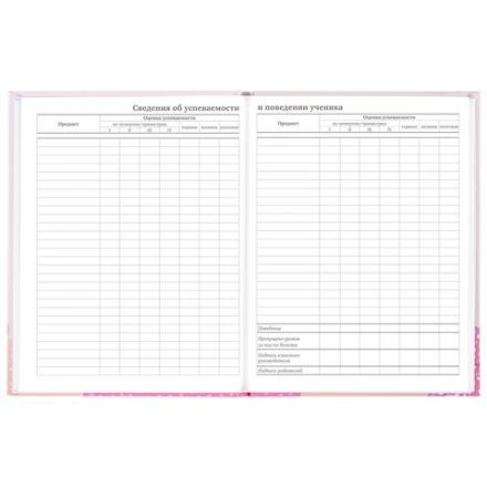 Дневник 5-11 класс 48 л., твердый, BRAUBERG, глянцевая ламинация, с подсказом, "Летний", 106631