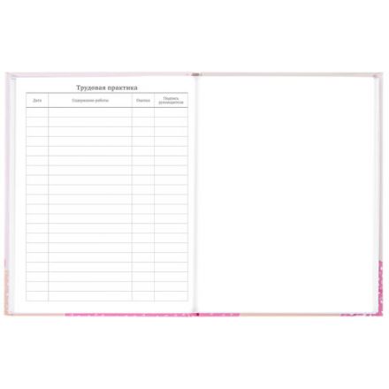 Дневник 5-11 класс 48 л., твердый, BRAUBERG, глянцевая ламинация, с подсказом, "Летний", 106631