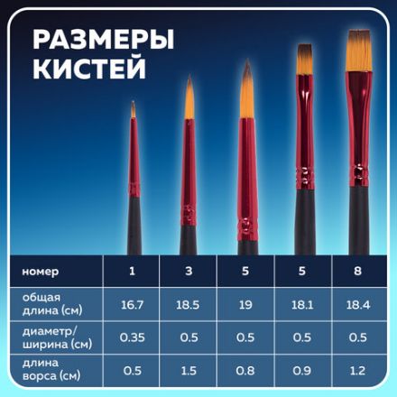 Кисти BRAUBERG PREMIUM, набор 5 шт. (синтетика, круглая № 1, 3, 5, плоская № 5, 8), блистер, 201024