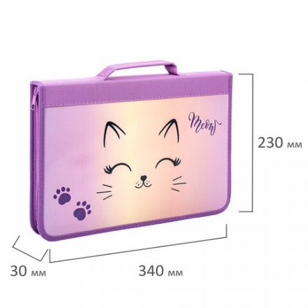 Папка на молнии BRAUBERG А4 с ручкой, с органайзером, 1 отделение, "Cheerful", 271448