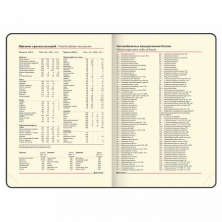 Ежедневник недатированный А5 (138х213 мм), BRAUBERG VISTA, под кожу, гибкий, 136 л., "Watercolour rain", 112005