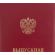 Папка ВЫПУСКНАЯ КВАЛИФИКАЦИОННАЯ РАБОТА, бумвинил, бордовая Папка ВЫПУСКНАЯ КВАЛИФИКАЦИОННАЯ РАБОТА, бумвинил, бордовая