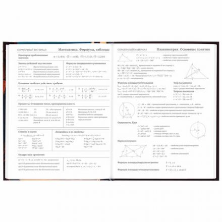 Дневник 5-11 класс 48 л., твердый, BRAUBERG, глянцевая ламинация, с подсказом, "Мир будущего", 106870