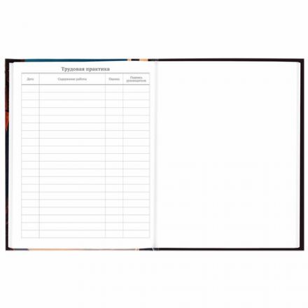 Дневник 5-11 класс 48 л., твердый, BRAUBERG, глянцевая ламинация, с подсказом, "Мир будущего", 106870