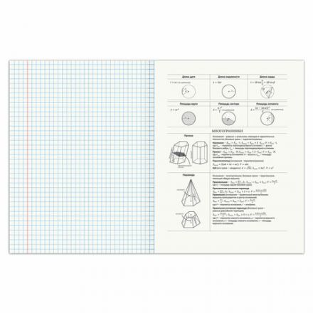 Тетрадь предметная "SPORT CLUB" 48 л., обложка картон, ГЕОМЕТРИЯ, клетка, подсказ, BRAUBERG, 404799 Тетрадь предметная "SPORT CLUB" 48 л., обложка картон, ГЕОМЕТРИЯ, клетка, подсказ, BRAUBERG, 404799