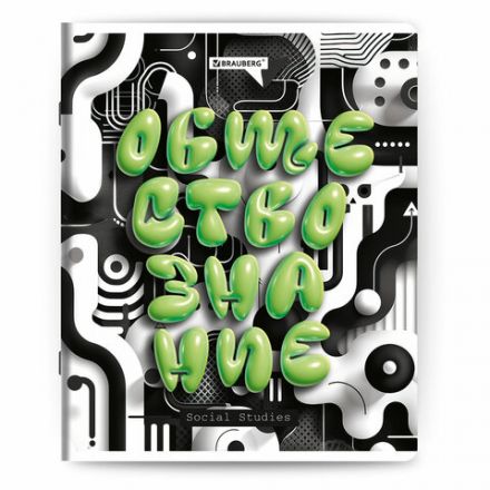 Тетради предметные, КОМПЛЕКТ 12 ПРЕДМЕТОВ, 48 л., глянцевый УФ-лак, BRAUBERG "3D LETTERS", 405169