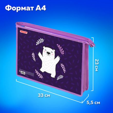 Папка для тетрадей ПИФАГОР А4, 1 отделение, картон/пластик, на молнии, "Happy bear", 272126 Папка для тетрадей ПИФАГОР А4, 1 отделение, картон/пластик, на молнии, "Happy bear", 272126