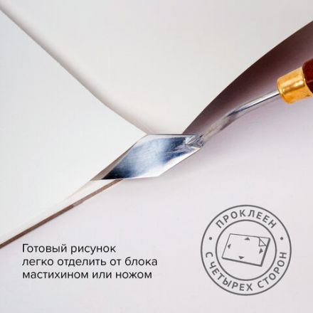 Альбом для акрила и масла, 300 г/м2, 270х390 мм, 10 листов, склейка, тиснение "холст", BRAUBERG ART PREMIERE, 113268