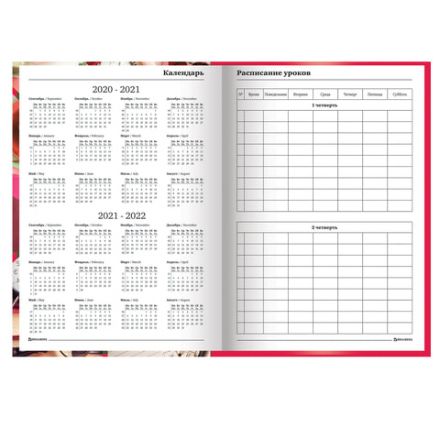 Ежедневник учителя специализированный А5 215х145 мм, BRAUBERG, твердая обложка, 144 л., "Аксессуары", 129232