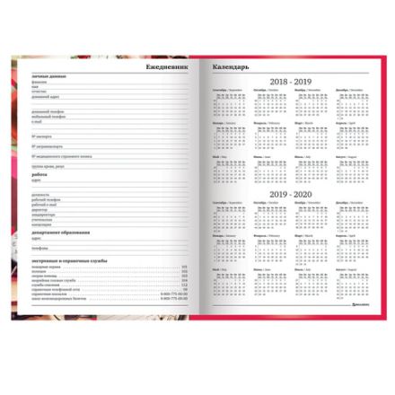 Ежедневник учителя специализированный А5 215х145 мм, BRAUBERG, твердая обложка, 144 л., "Аксессуары", 129232