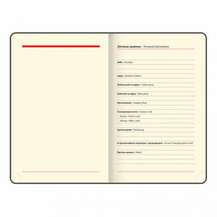 Ежедневник недатированный МАЛЫЙ 100х150 мм А6 BRAUBERG "Status", под кожу, 160 л., красный, 113367