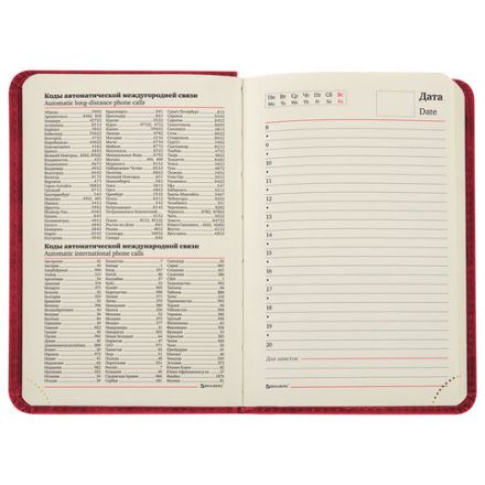 Ежедневник недатированный МАЛЫЙ 100х150 мм А6 BRAUBERG "Status", под кожу, 160 л., красный, 113367