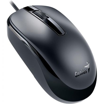 Мышь компьютерная Genius DX-120, Optical, USB, 1000dpi, Black, 31010010400
