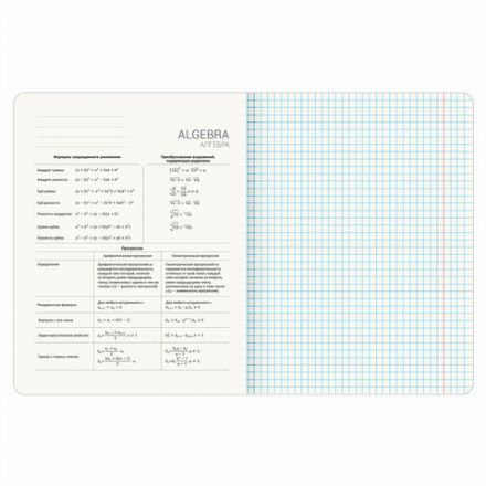 Тетради предметные, КОМПЛЕКТ 12 ПРЕДМЕТОВ, 48 л., глянцевый УФ-лак, BRAUBERG "GLITCH", 405170