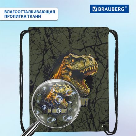 Мешок для обуви BRAUBERG PREMIUM, карман, подкладка, светоотражайка, 43х33 см, Dino attack, 272424