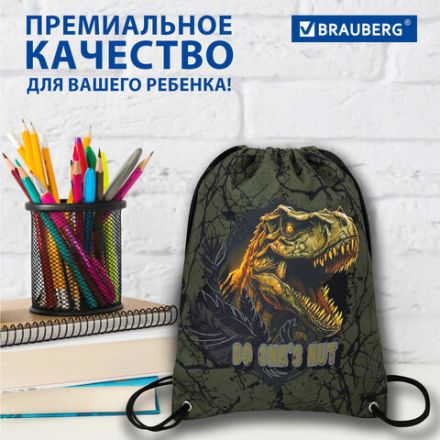 Мешок для обуви BRAUBERG PREMIUM, карман, подкладка, светоотражайка, 43х33 см, Dino attack, 272424